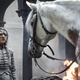 Ghost got his good boy pet, but what about the ghost horse?